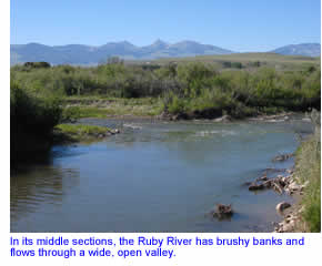 Ruby River