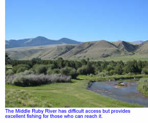 Ruby River in Southwest Montana