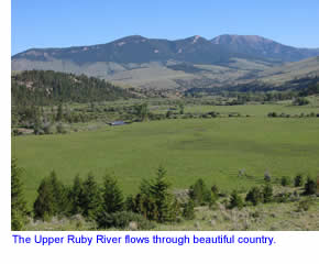 Upper Ruby River