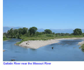 Gallatin River near its end