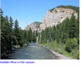 Gallatin River in the lower portion of the canyon