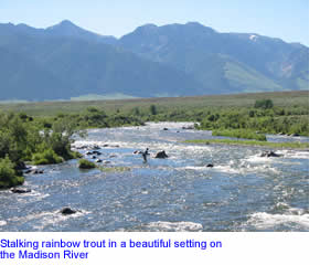 Madison River provides great trout fishing