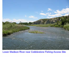 Lower Madison River