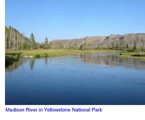 Madison River in Yellowstone National Park