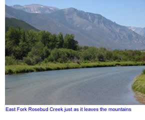East Fork Rosebud Creek