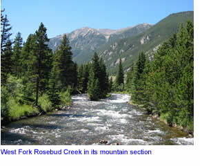 West Fork Rosebud Creek