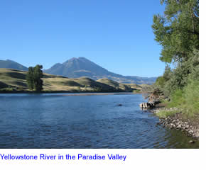 Yellowstone River in Paradise Valley
