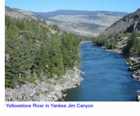 Yellowstone river in Yankee Jim Canyon