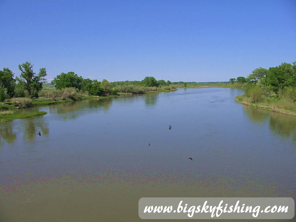 Near Pelican Fishing Access Site on the Missouri River