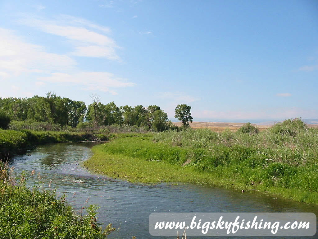 Musselshell River at Selkirk Fishing Access Site