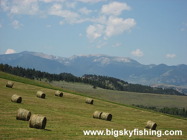 Fields of Hay & Mountains, Photo #3