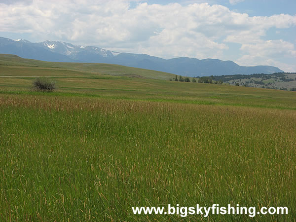 Expansive Fields Near Absarokee, Montana