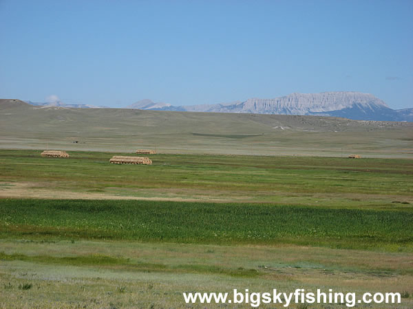 Hayfields, Grass Prairie and Distant Mountains