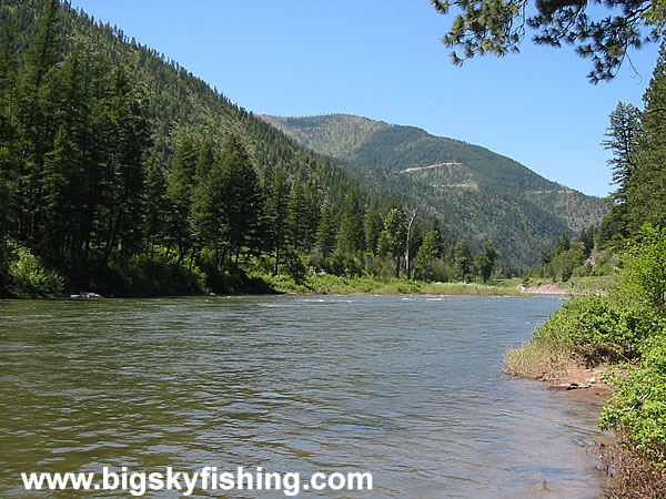 Forested Mountains Loom Above the Blackfoot River