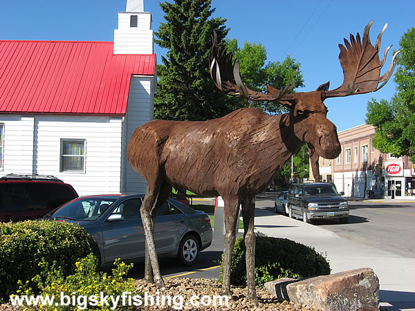 Watch Out for the Moose In Dillon