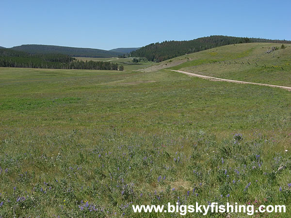 Scenic Meadow Along the Backcountry Drive