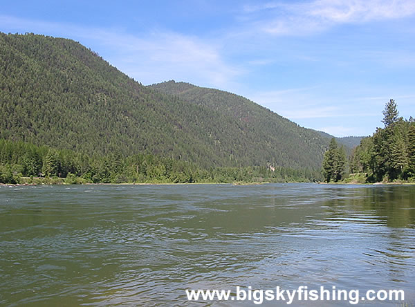 The Kootenai River and Forested Mountains in Montana
