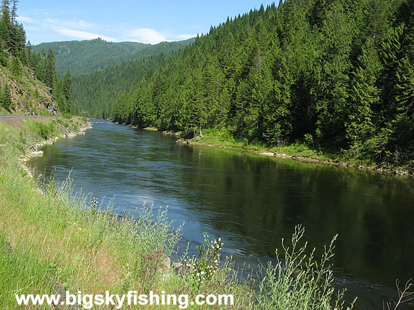 The Lochsa River - Photo #3