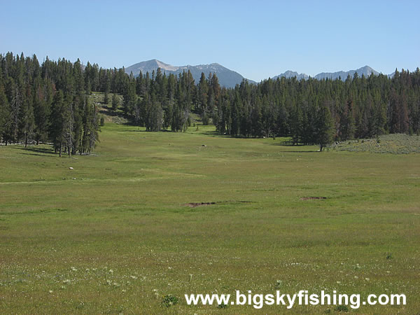 Meadows and the Peaks of the Pioneer Mountains