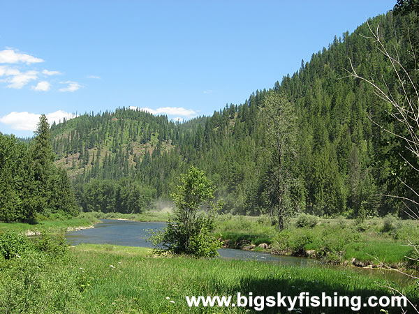 Forested HIlls Above the St. Joe River in Idaho