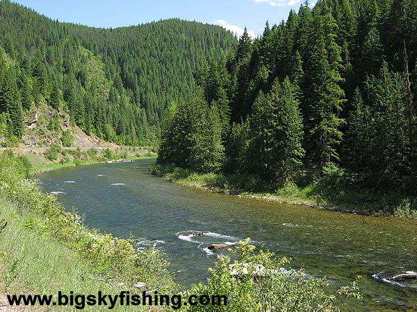 The St. Joe River in National Forest Lands