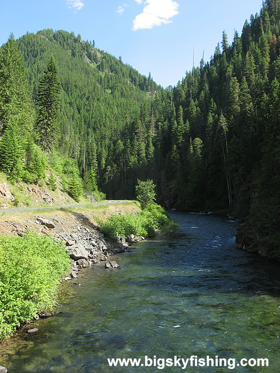 The St. Joe River in Idaho #3