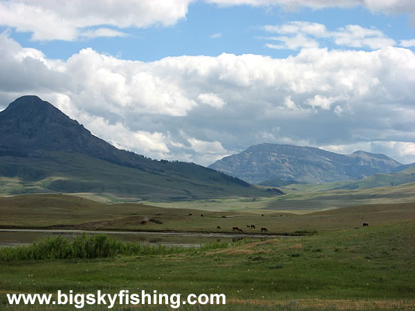 Open Grasslands Along the Rocky Mountain Front in Montana