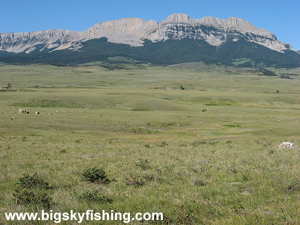 Sweeping Prairie & Jagged Mountains in Central Montana