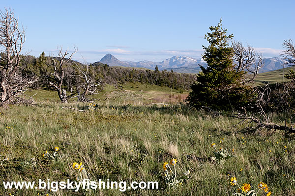 Approaching the Base of the Mountains in the Sun River Wildlife Management Area of Montana