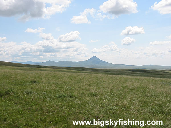 Vast Expanse of Grass in the Sweet Grass Hills of Montana