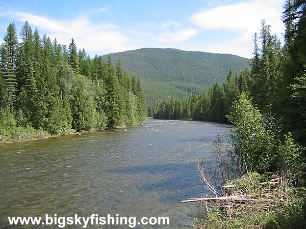 Forested Mountains and the Yaak River in Montana
