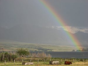 Rainbow over Ennis Lake