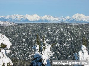 Glacier National Park Seen From Whitefish Mountain