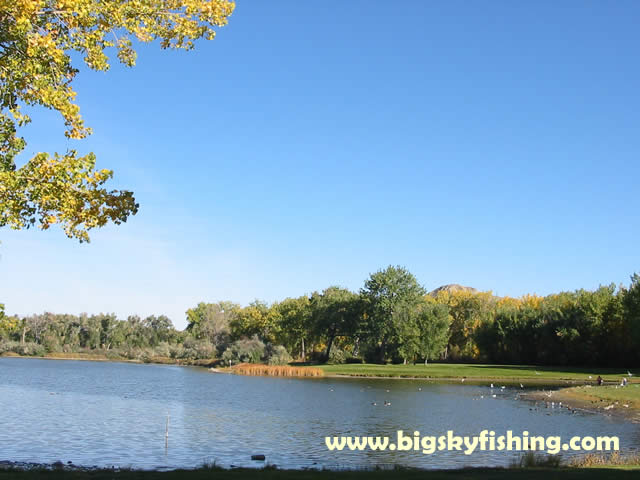 Nice Park Along the Yellowstone River in Billings