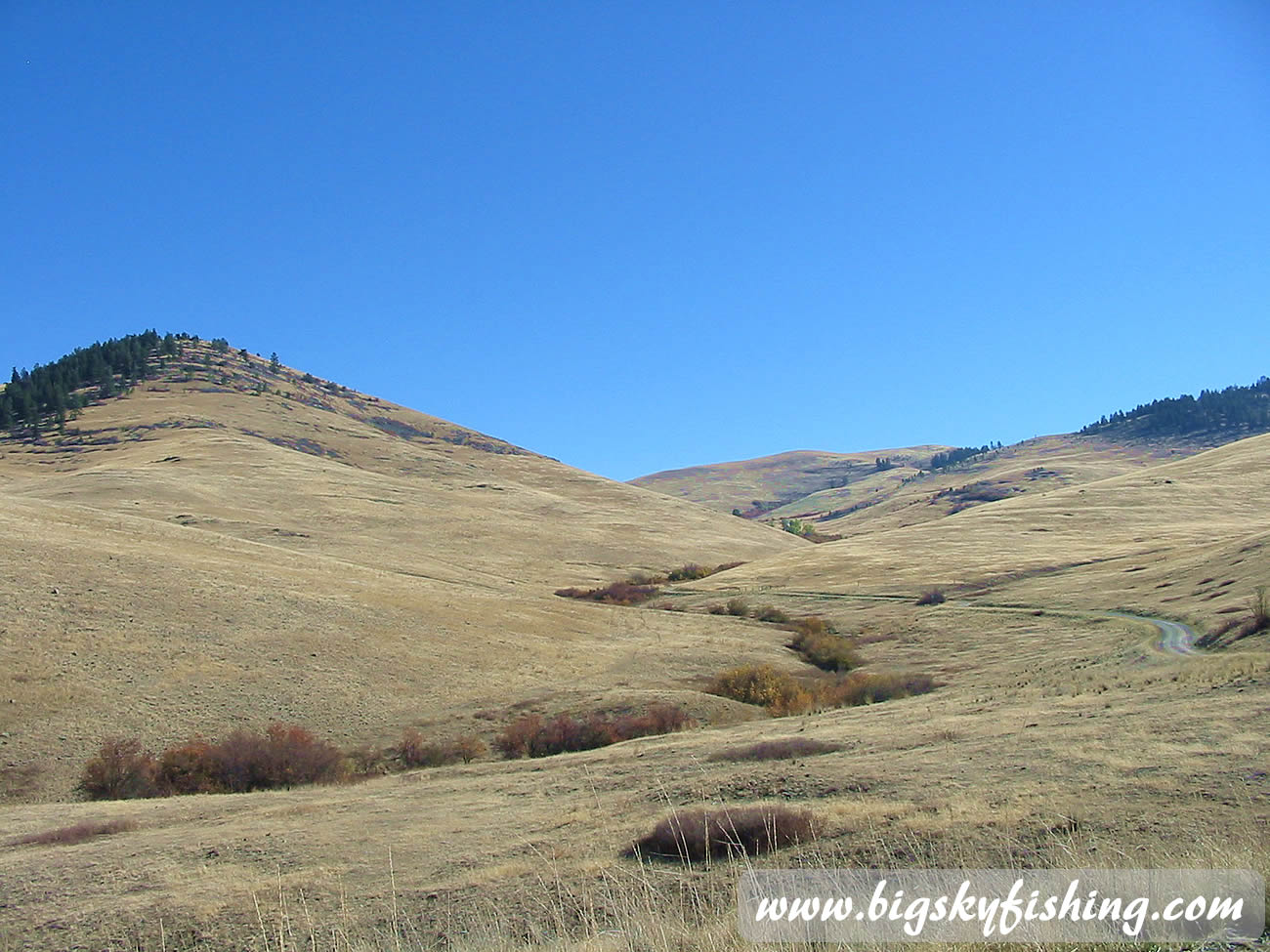 Rolling Prairie Hills at National Bison Range