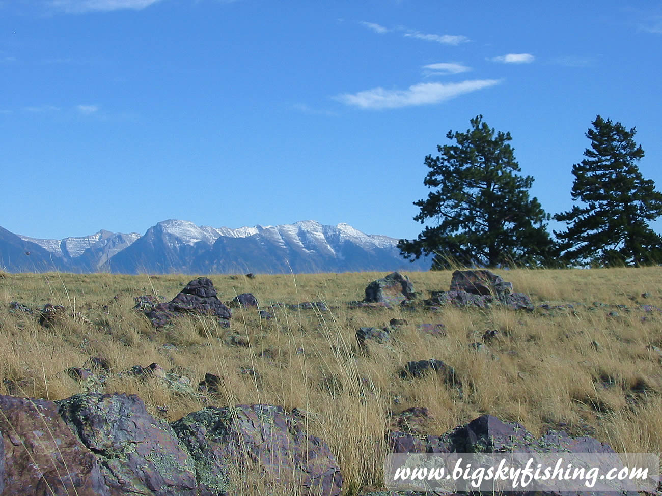 Grass & Mountains at the National Bison Range
