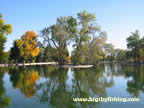 Duck Pond in Gibson Park