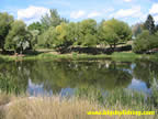 Duck Pond in Riverside Park