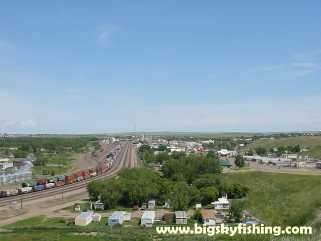 A View of the Downtown Area