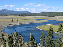 Yellowstone National Park