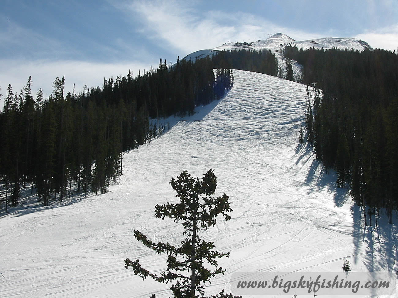 Challenging Mogul Run at Big Sky