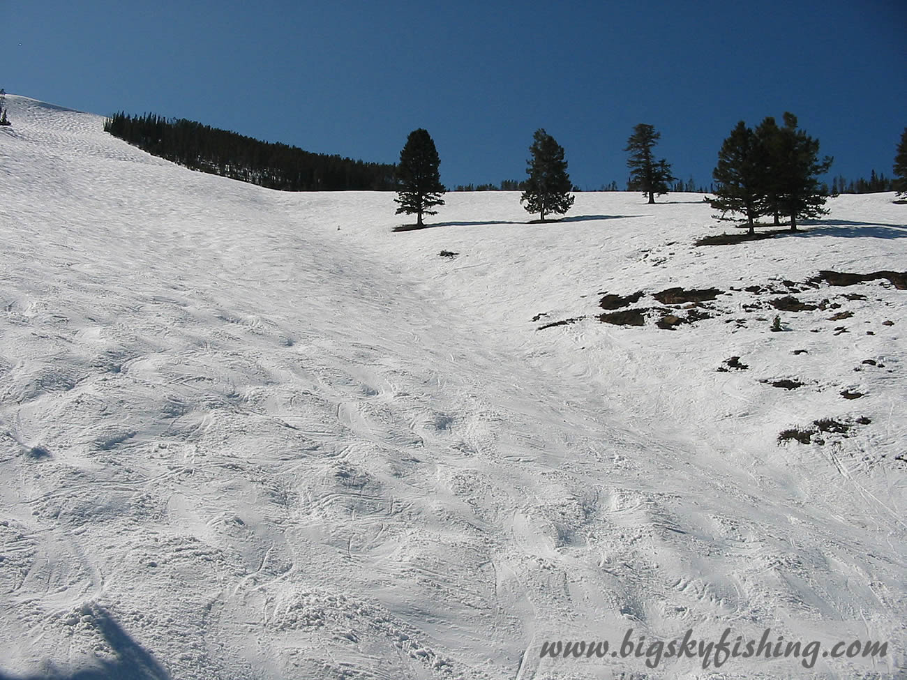 Mgul Run on Andesite Mountain