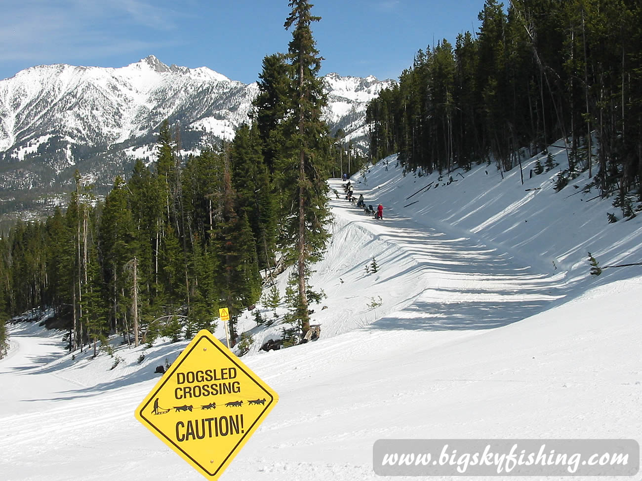 Dog Sled Crossing at Moonlight Basin