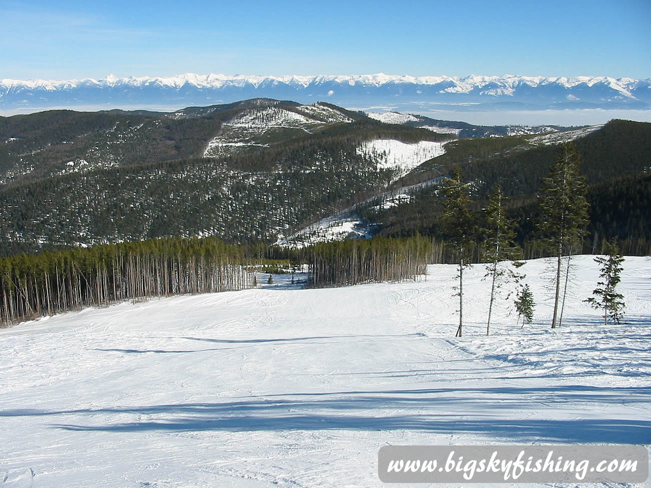 Intermediate Ski Run at Blacktail Mountain