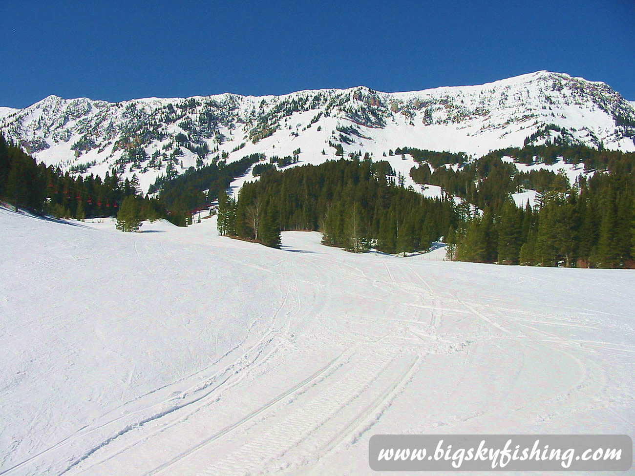 View of Ski Area From the Base Area