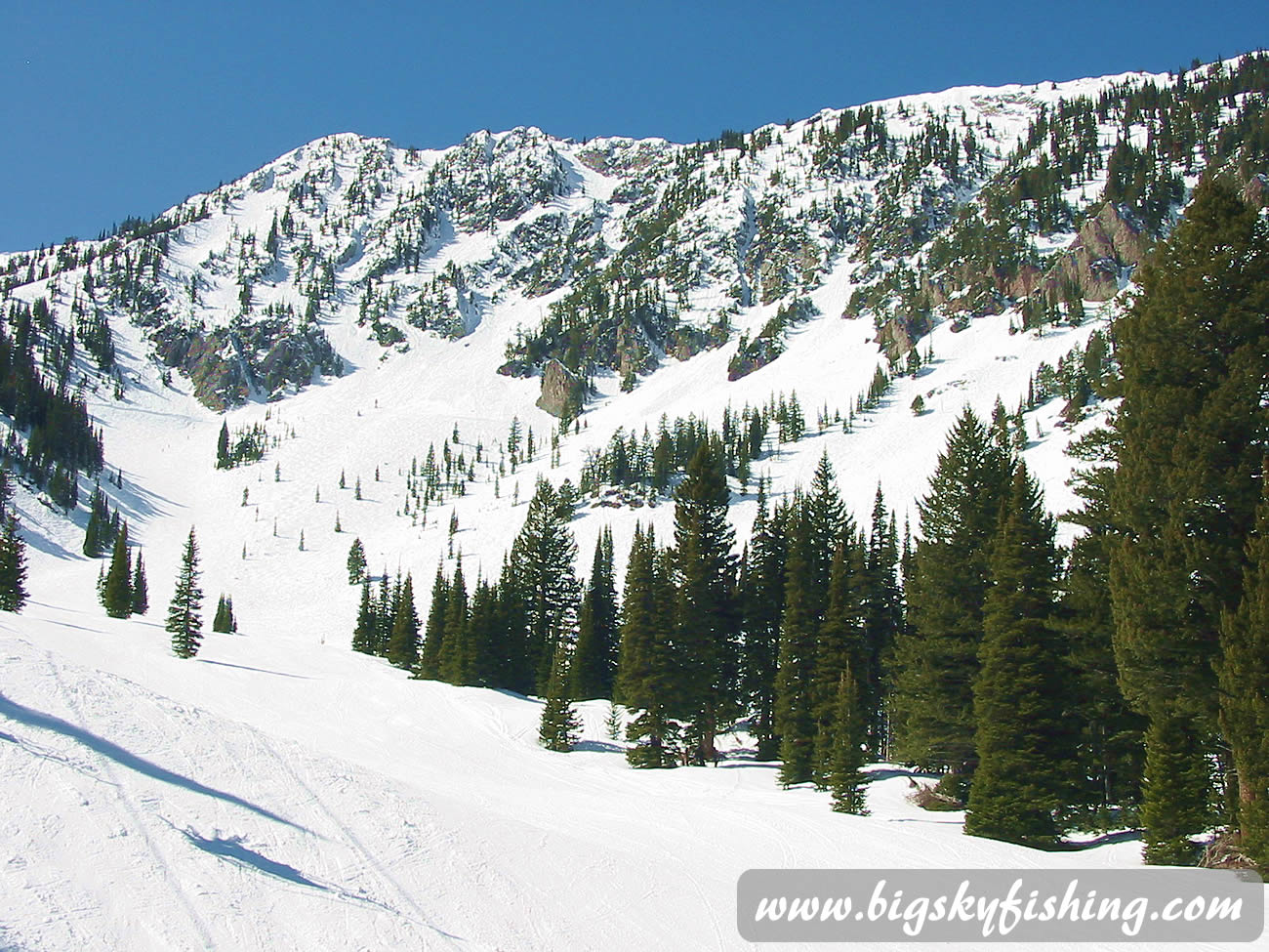 The South Bowl at Bridger Bowl Ski Area in Montana