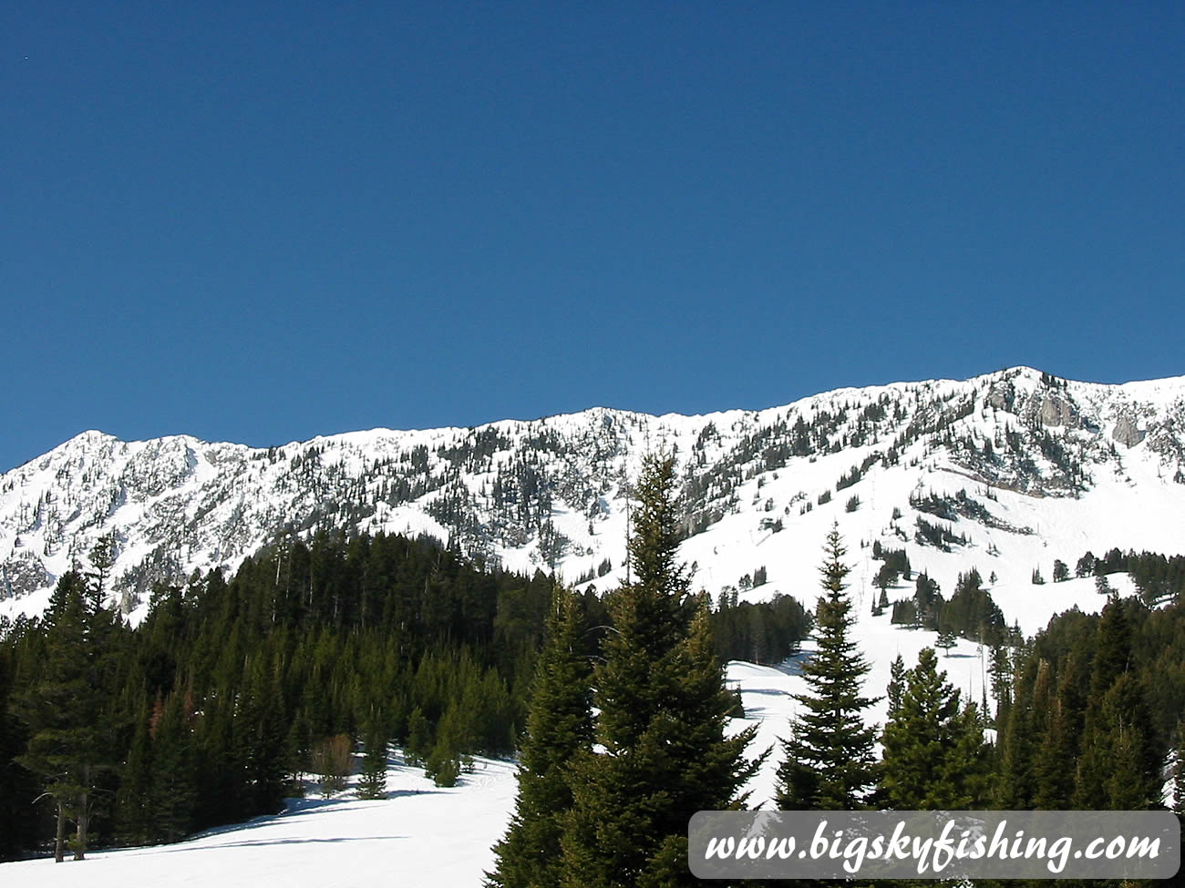 Bridger Bowl in Montana