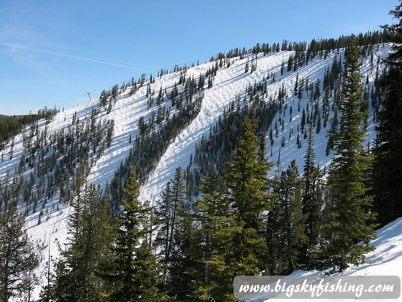 Lots of Moguls at Discovery Ski Area