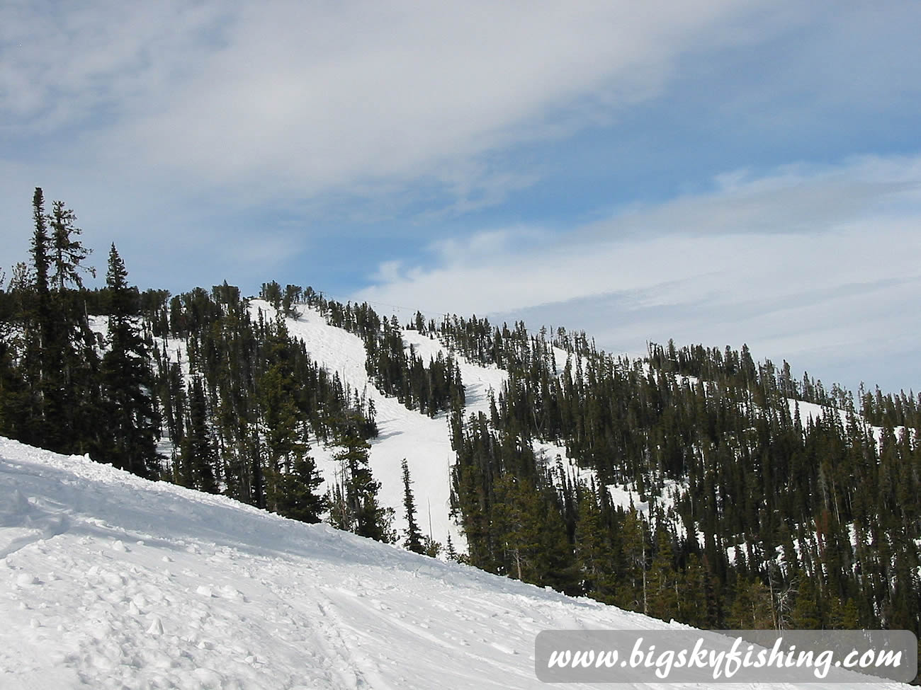 Expert Ski Trails at Showdown Ski Area