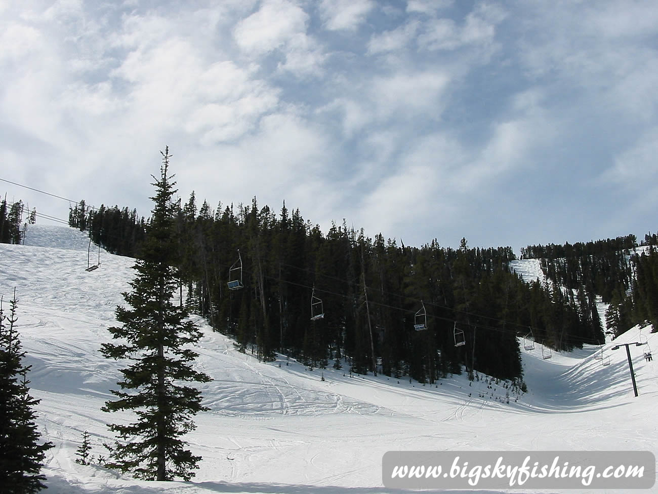 Mogul Run at Showdown Ski Area